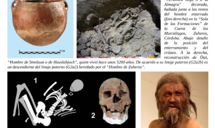 El más antiguo habitante de Andalucía datado hasta la fecha estaba directamente emparentado con los agricultores neolíticos de Turquía y Siria.