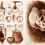 ¿Descienden realmente los iberos de la 'Cultura de El Argar' como han estado planteando durante años arqueólogos y lingüistas? La teoría de que los iberos serían descendientes directos de la cultura de El Argar, arropada por no pocos destacados arqueólogos y lingüistas (y a la que me opuse en todo momento) se derrumbó por completo en cuando se hizo público en fecha reciente el perfil genético de los argarienses.