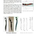 The Curved Sword of Titans, Amazons, and Poseidon02